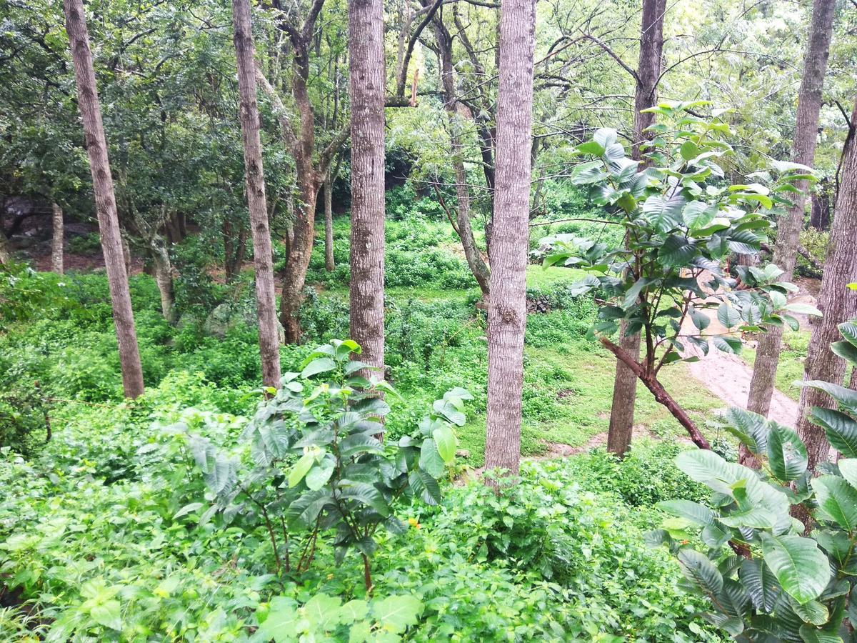 Secret Valley Jungle Resort Ooty Exterior foto
