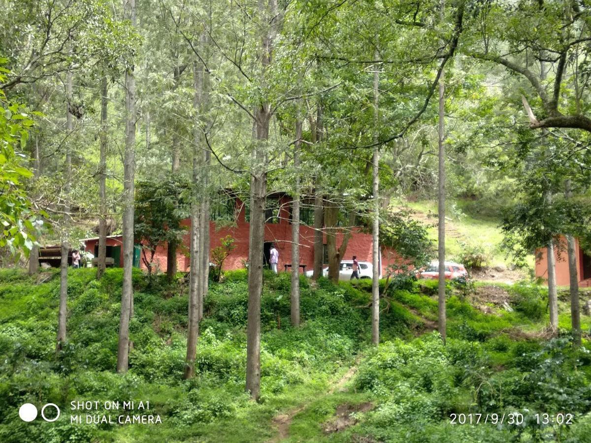 Secret Valley Jungle Resort Ooty Exterior foto