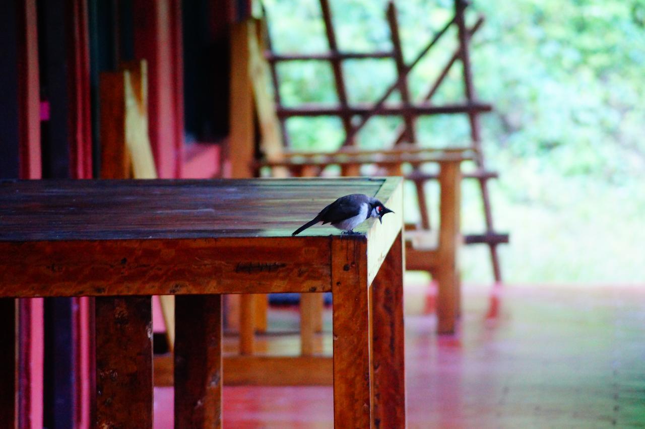 Secret Valley Jungle Resort Ooty Exterior foto