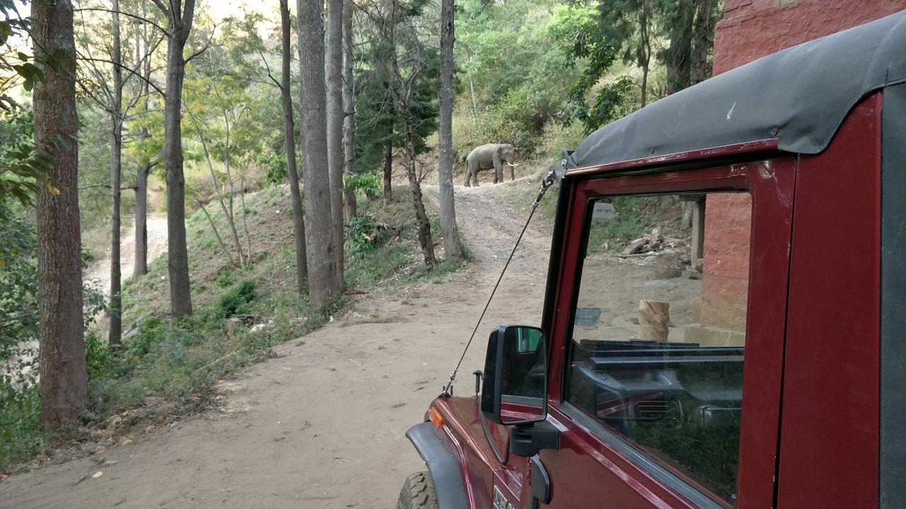 Secret Valley Jungle Resort Ooty Exterior foto